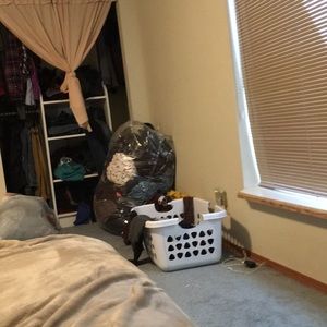 Meet your Posher, Daisy